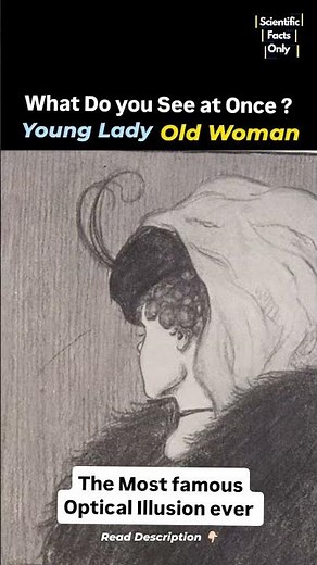 The most famous Optical Illusion ever What do you see at once? #braintest #illusion #shorts #science