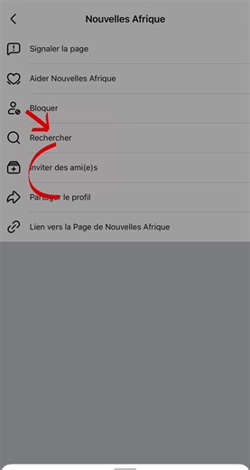 Une fois sur la page de Nouvelles Afrique, voici comment inviter vos amis. | Ibrahima Maiga