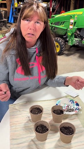 How to Plant Rare Hosta Seeds for Vibrant Colors