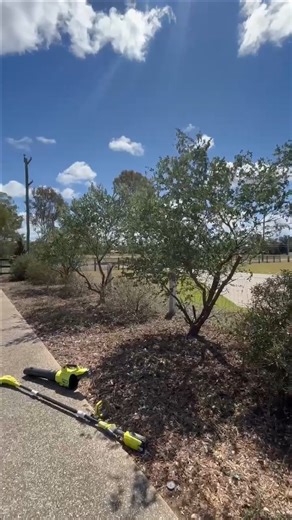 Tree trimming has never been easier... The RYOBI 36V range packs serious power without the noise, fuel, or hassle. Cut through overgrown branches effortlessly, all on one battery. Tag someone who needs to try the RYOBI 36V range! #RYOBIau #SpringProjects #BatteryPowered #RYOBI36V | RYOBI Australia