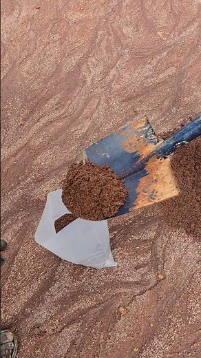 Sampling for mineral sand ! #MiningExploration #SamplingTechniques