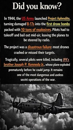 Project Aphrodite #historyfacts #shorts #ww2