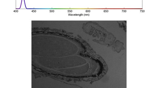 Hyperspectral Imaging