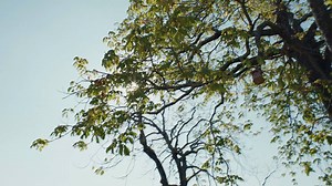 39K views · 59 reactions | Guerlain's new fragrance has been created...