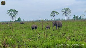 38K views · 1.9K reactions | The name of the park is originated from...