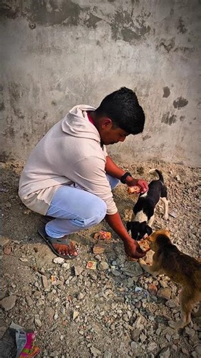 so sweet 😊 #pets #shorts