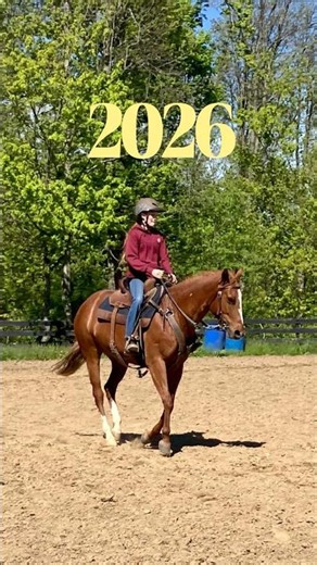 They look the same!!! #horse #horses #fypシ #shorts #youtube #capcut #template #cool #western