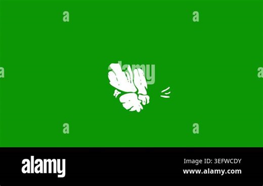 A green screen with white background and shoe flower on leaf black photo frame cat it circle animated chromakey background backgrounds figure gesture colorful creative style movement Stock Video Footage - Alamy