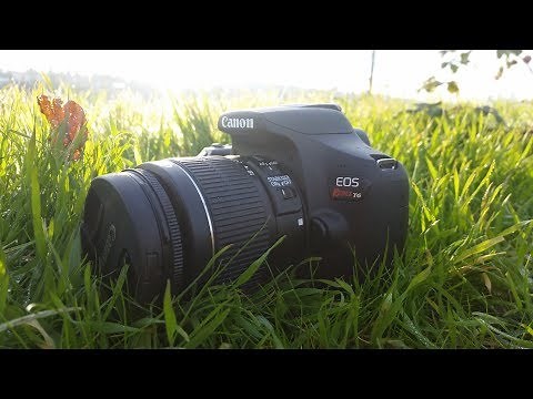 Canon T6 (1300D) Photo Shoot/Sample Pictures