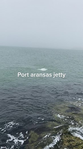 Jetty Fishing for Manta Rays in Port Aransas