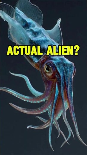 The ALIEN of the Abyss: Bigfin Squid 🦑👽 #shorts #oceanmystery #scaryfacts
