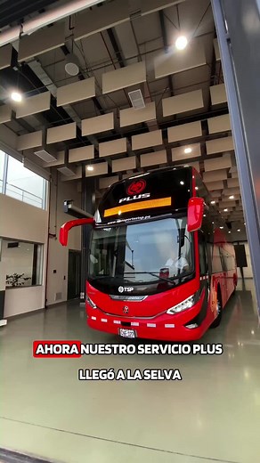 Viaje cómodo de Piura a Tarapoto en bus Plus