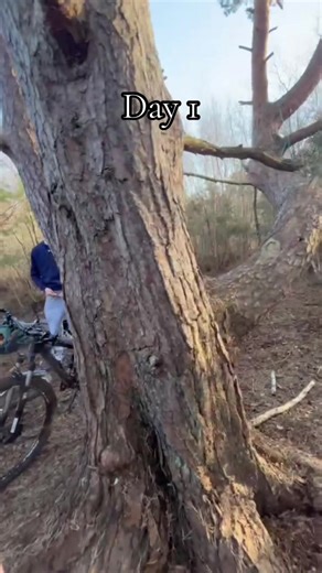 Day 1 of the den and idek what monty is doing 😂 #denbuilding #outdoorlife #nature #livinglife #moots?