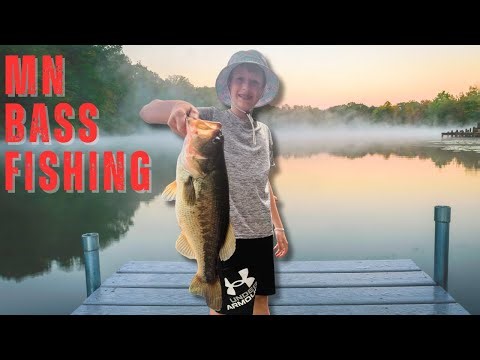 HUGE Minnesota Largemouth Bass Caught with Kids, Midwest Lake Fishing, Family Bass #bassfishing
