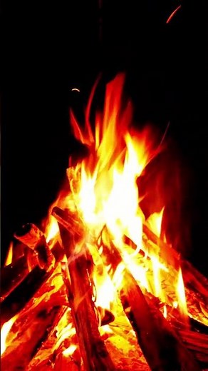 Deep Sleep in 10 Minutes: 4K Campfire & Forest Crickets Night Ambience