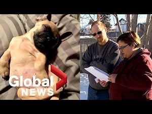 Costly scams robbed Canadians of hundreds of millions of dollars in 2021