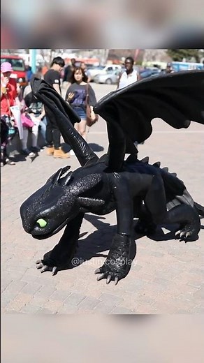 the best cosplay I’ve ever seen….