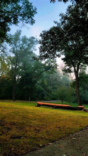 Thane Rivers on Instagram: "#lumbersnack #positivity #morningcheer #goodmorning #affirmations #morningcoffee"