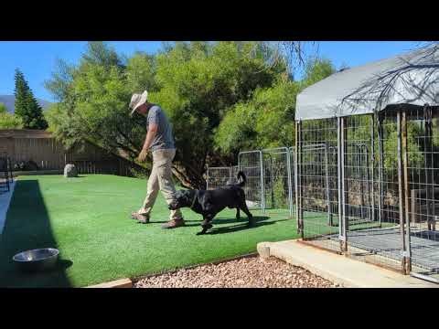 Training Sprout 10-16-2025