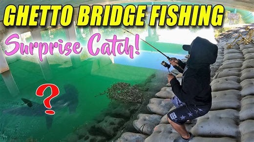 Bridge Fishing in the Hood—Wild Finds and Big Surprises