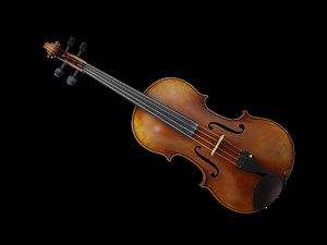 Viola | Philharmonia