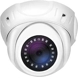 GW Security 5MP IP PoE Outdoor Indoor Microphone Dome Security Camera (GW8393M)