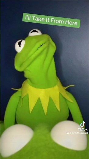 New Kermit The Frog Puppet