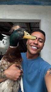 350K views · 60K reactions | Ele merecia uma piscina né amore, eu sei que faltou pedras já estamos atrás pra repor mas eu amei, o Leleko então nem se fala, vamos ajustar essa rampa com mais pedras e colocar umas plantas bem lindas ao redor, ele é marreco mas também é gente, ele merece depois de tudo. | Edson Silva | Facebook