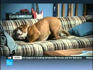 Intellistar 2 jr. Beckley WV 9/29/2015 3:54 PM EDT