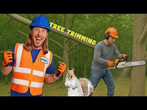 Tree Trimming, Chainsaw, and Squirrels with Handyman Hal | Lawn Care Tree Service