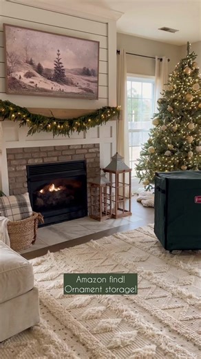 Amazon Christmas Ornament Storage Organizer | Must-Have for Holiday Decoration