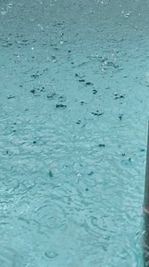 Rain, Storm, Springtime. Free Stock Video