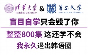 【b站第一】清华大学和首尔大学强强联手打造的韩语教程！全套800集！全程干货，无废话！还学不会我退出韩语圈！
