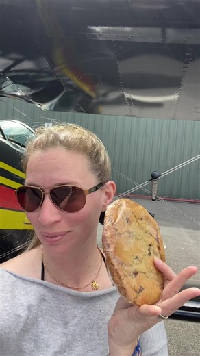 Aerobatic Cookie: The Ultimate In-Flight Snack Experience