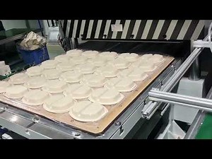 Paper Pulp Mold Edge Trimming Machine in Action | Precision Cutting Process