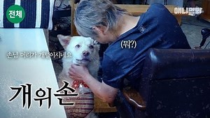 271K views · 5.8K reactions | 미용실 핵인싸 백구 곰이, 그런 녀석에게는 믿기 힘든 과거가 있습니다 This Bubbly Dog Has An Unbelievable Past.. Gom the dog is a super insider of the hair salon But, Gom has a painful past.. | SBS TV동물농장x애니멀봐 | Facebook