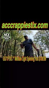 Crickets + ACC Crappie Stix = Trophy Shellcrackers #short #shellcracker #fishing