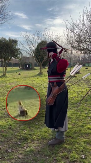 🐰 "Just a little off the top" #archery #corea #traditionalarchery #hunting #tiroconarco #korea #bow