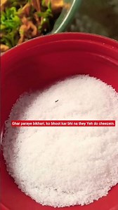 Ghar faray, bharkari, ko Phool kar bhi. Na. They ya do cheezein.#shortsvideo #mahadev