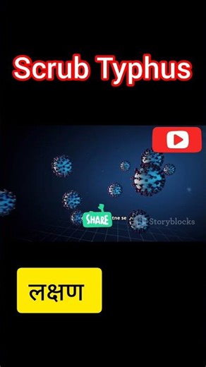 scrub Typhus #shortsfeed #scrubtyphus #youtube #youtubeshorts