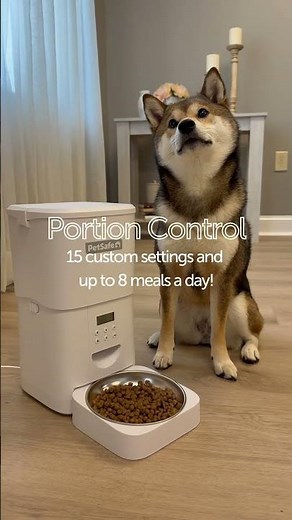 Mealtime, made easy. 🍽️🐾The FlexFeed Automatic Feeder keeps your pet on schedule! 😋