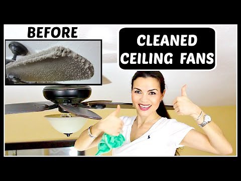 How to Clean Dusty Ceiling Fan / Real Life Mess