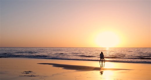 Paar Meer Strand - Free video on Pixabay