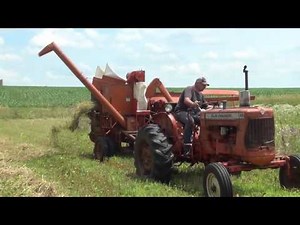 Combining Organic Barley