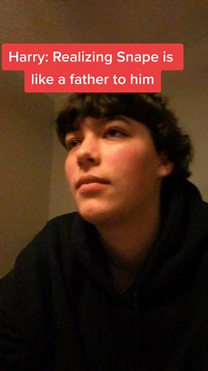 Exploring the Emotional Journey of Snape and Harry in Fanfiction