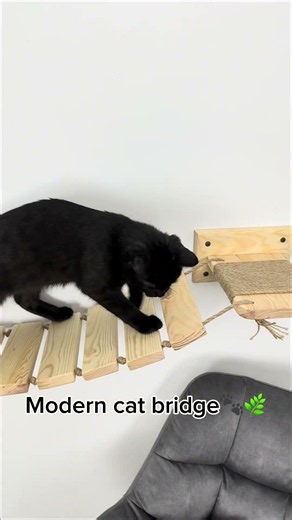Wall Mounted Cat Bridge – Natural Wood Climbing Path for Cats #catfurniture #catroom