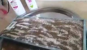 ☎️☎️☎️ 05414506075 Ucretsız uyelık yapılır ☝satıs yapmak zorunda degılsınız 👍aldıgınız urun parasını 1 ay sonra oduyorsunuz 💪satıs yaparsanız evınıze ek gelır saglarsınız 👉ayda en az 500 tl 1000 tl para kazanırsınız 👏uye destegımız ıle ekıbıme beklıyrum 👉MSJ ATAMANIZ EKLEMENIZ YETRLI 💪👏👏 | İsminur Durgut