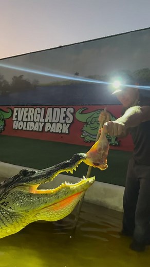 65K views · 3.3K reactions | How cute is muttley here凉 he’s so...