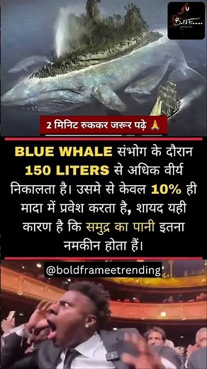 Did You Know This About Whales? | Whale Mating Secrets You Never Knew #whales #mating #trending