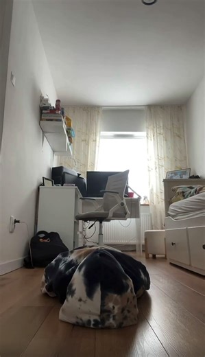 Filmy użytkownika Milan_tech (@milan26204) z muzyką oryginalny dźwięk - Milan_tech